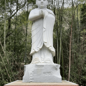 exquisite-eighteen-arhats-stone-sculpture-collection-12